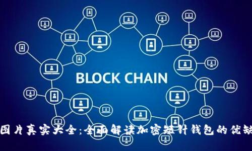 加密短针钱包图片真实大全：全面解读加密短针钱包的优缺点与使用方法