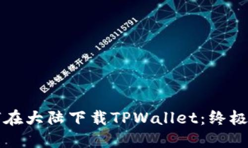 如何在大陆下载TPWallet：终极指南