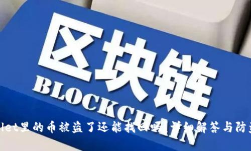 tpwallet里的币被盗了还能找回吗？详细解答与防盗指南