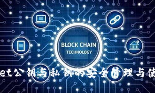 TPWallet公钥与私钥的安全管理与使用指南