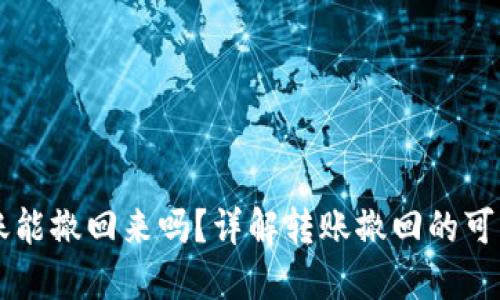 TPWallet已转账能撤回来吗？详解转账撤回的可能性与操作流程